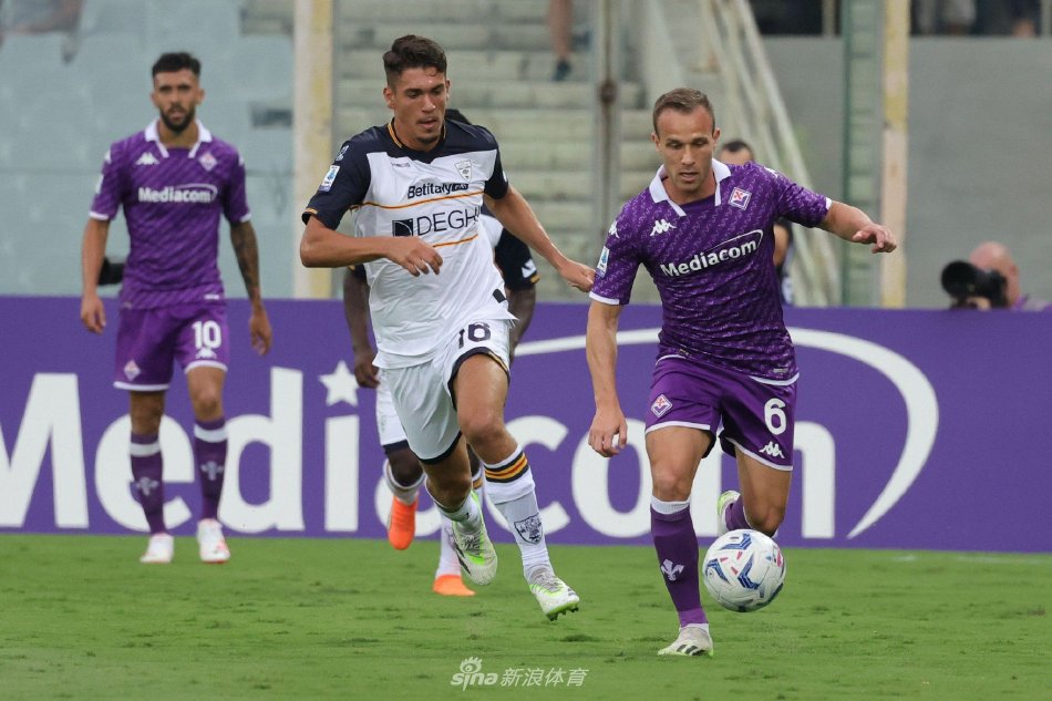 完美结合的 完美结合的